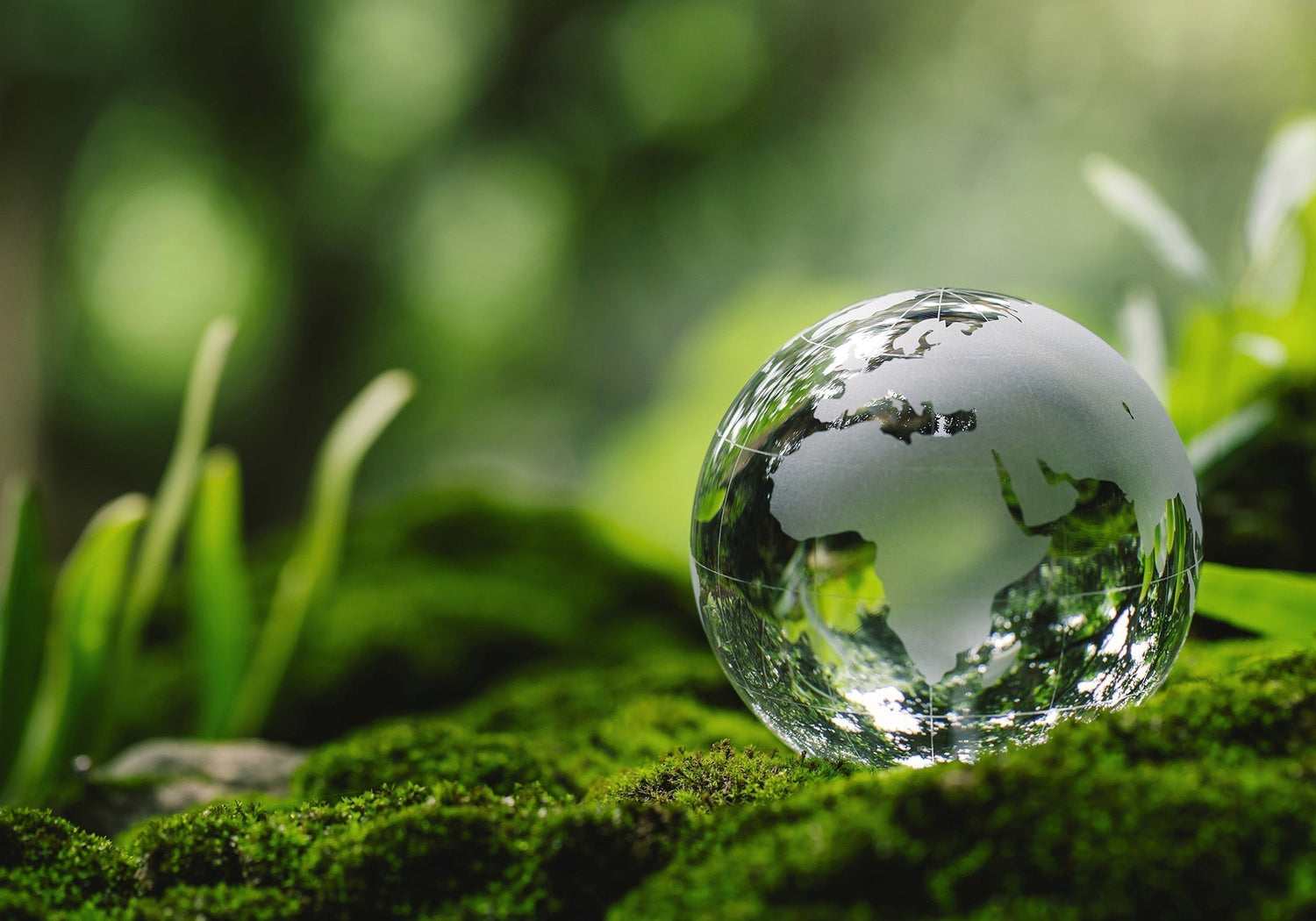 Panasonic Green Impact Recycling Program