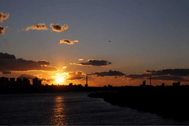 LUMIX S Series Lens Stories - Chapter 2: S PRO 24-70mm F2.8 (Versatile, Sharp, & Reliable)