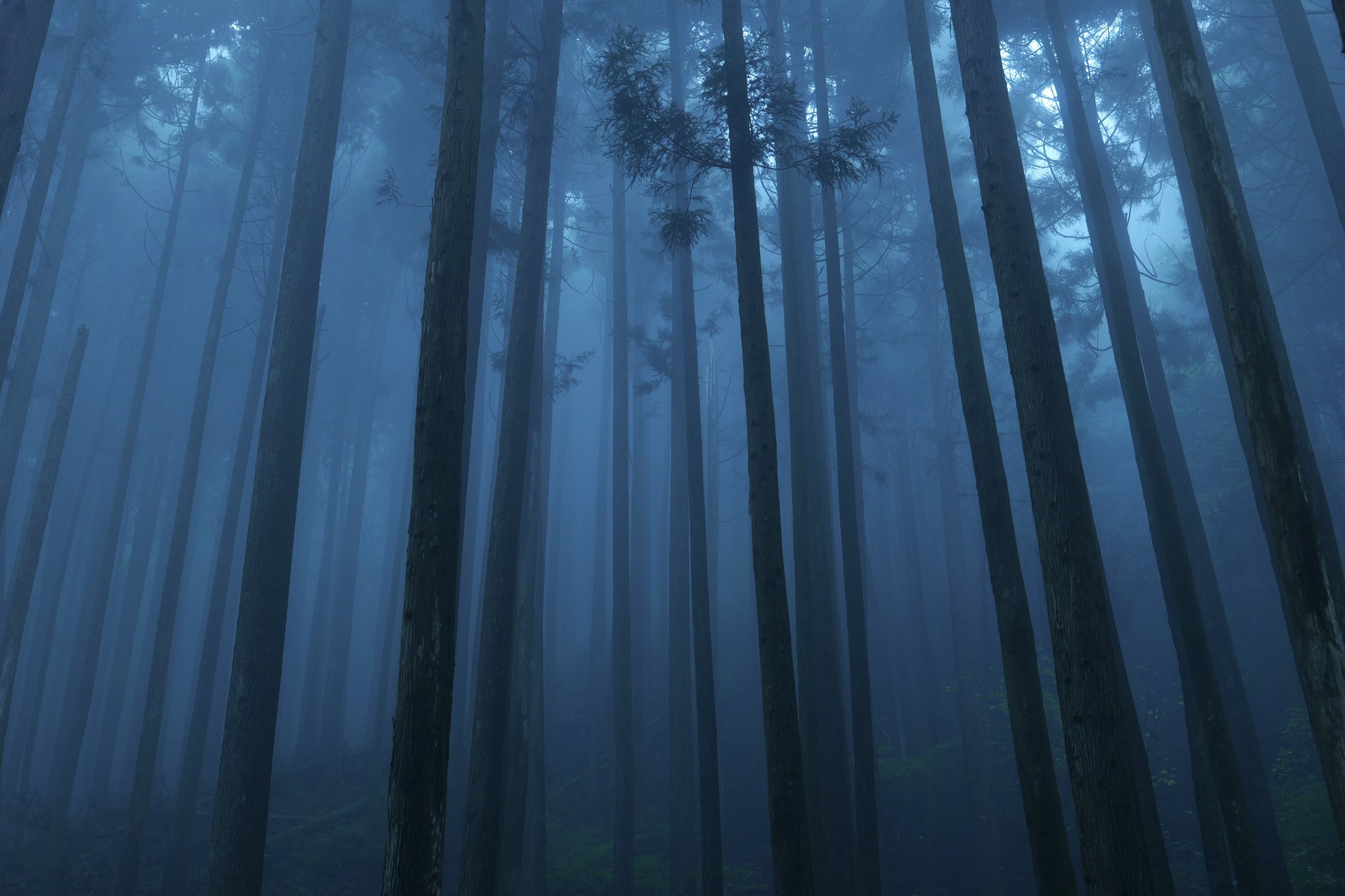 S Series Lenses – Chapter 9: S 24–105mm F4 MACRO O.I.S.