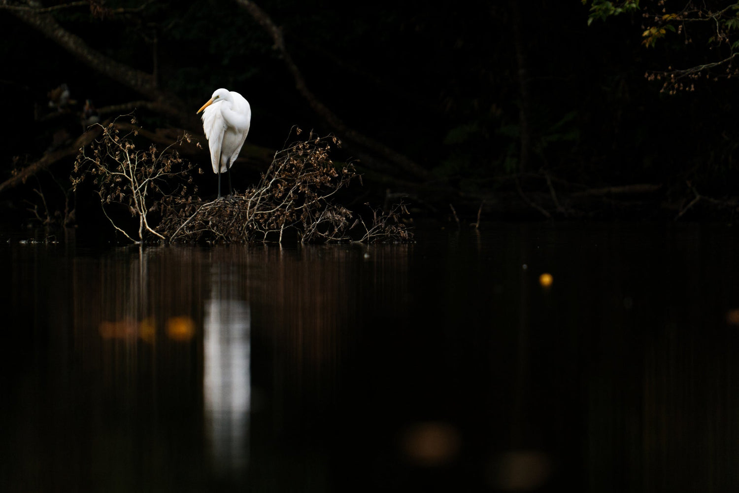 S Series Lenses – Chapter 3: S PRO 70-200mm F2.8 O.I.S.
