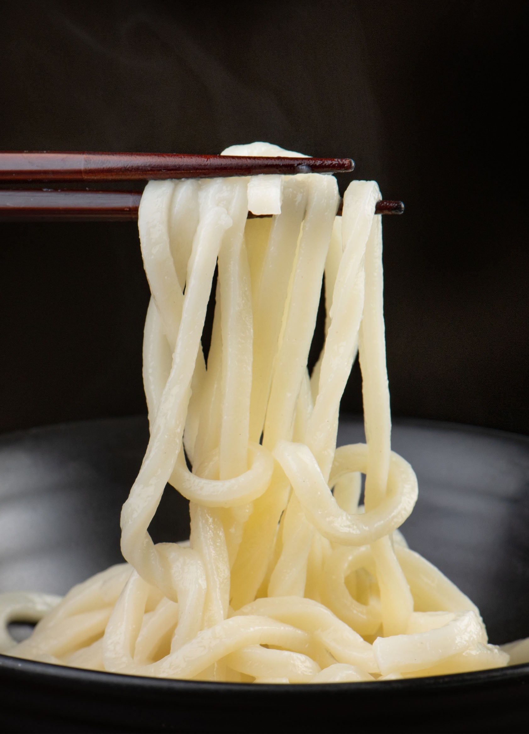 Udon Noodles