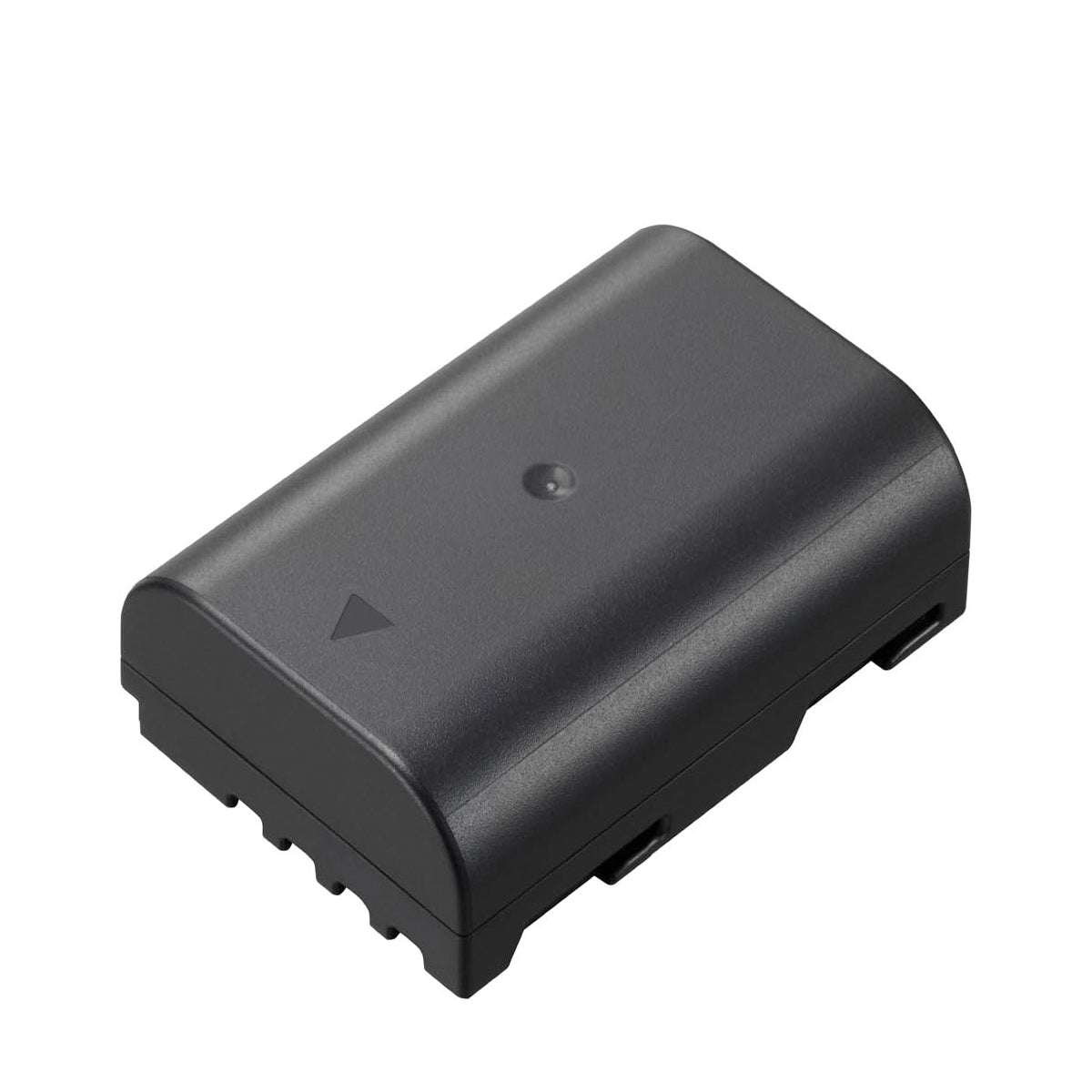 Batterie lithium-ion rechargeable - DMW-BLF19